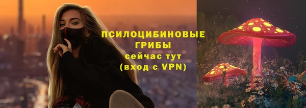 наркотики Белокуриха