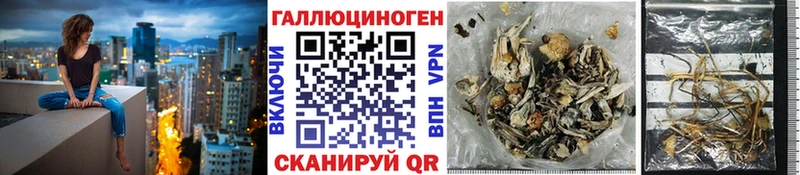 Купить где  Одинцово  Галлюциногенные грибы мицелий 